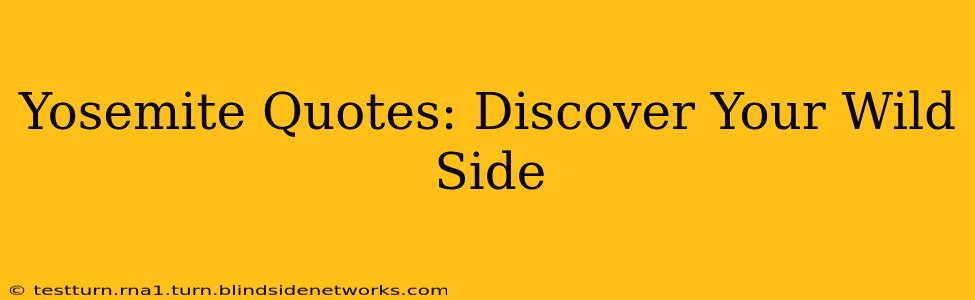 Yosemite Quotes: Discover Your Wild Side